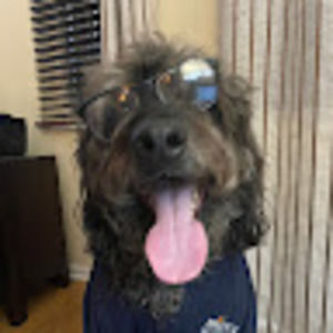 Meet your Posher, Marissa